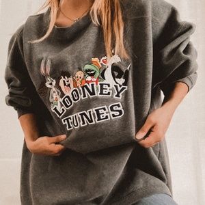 Warner Bros. Looney Tunes Gray Sweater